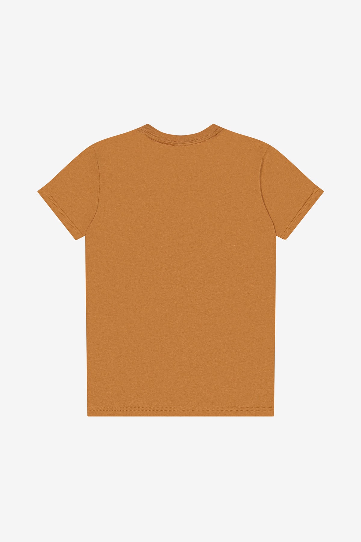 BELLA+CANVAS Youth Jersey Short Sleeve Tee. BC3001Y - Toast - back