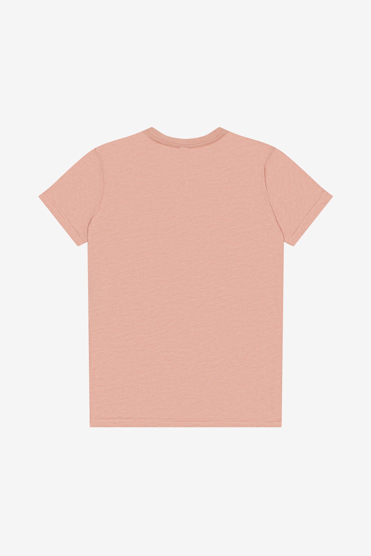 BELLA+CANVAS Youth Triblend Short Sleeve Tee. BC3413Y - Peach Triblend - back