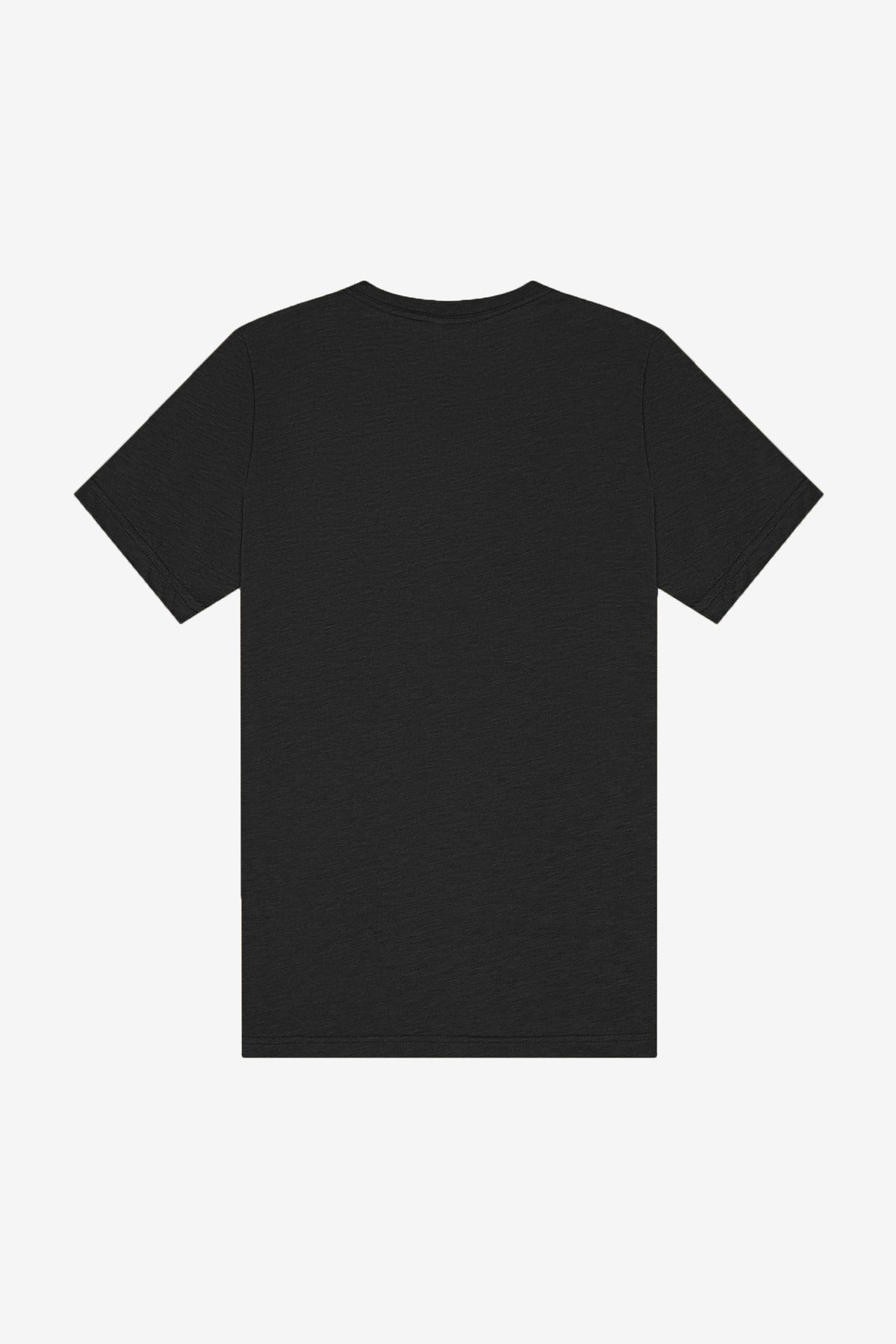 BELLA+CANVAS Unisex Triblend Short Sleeve V-Neck Tee. BC3415 - Charcoal-Black Triblend - back