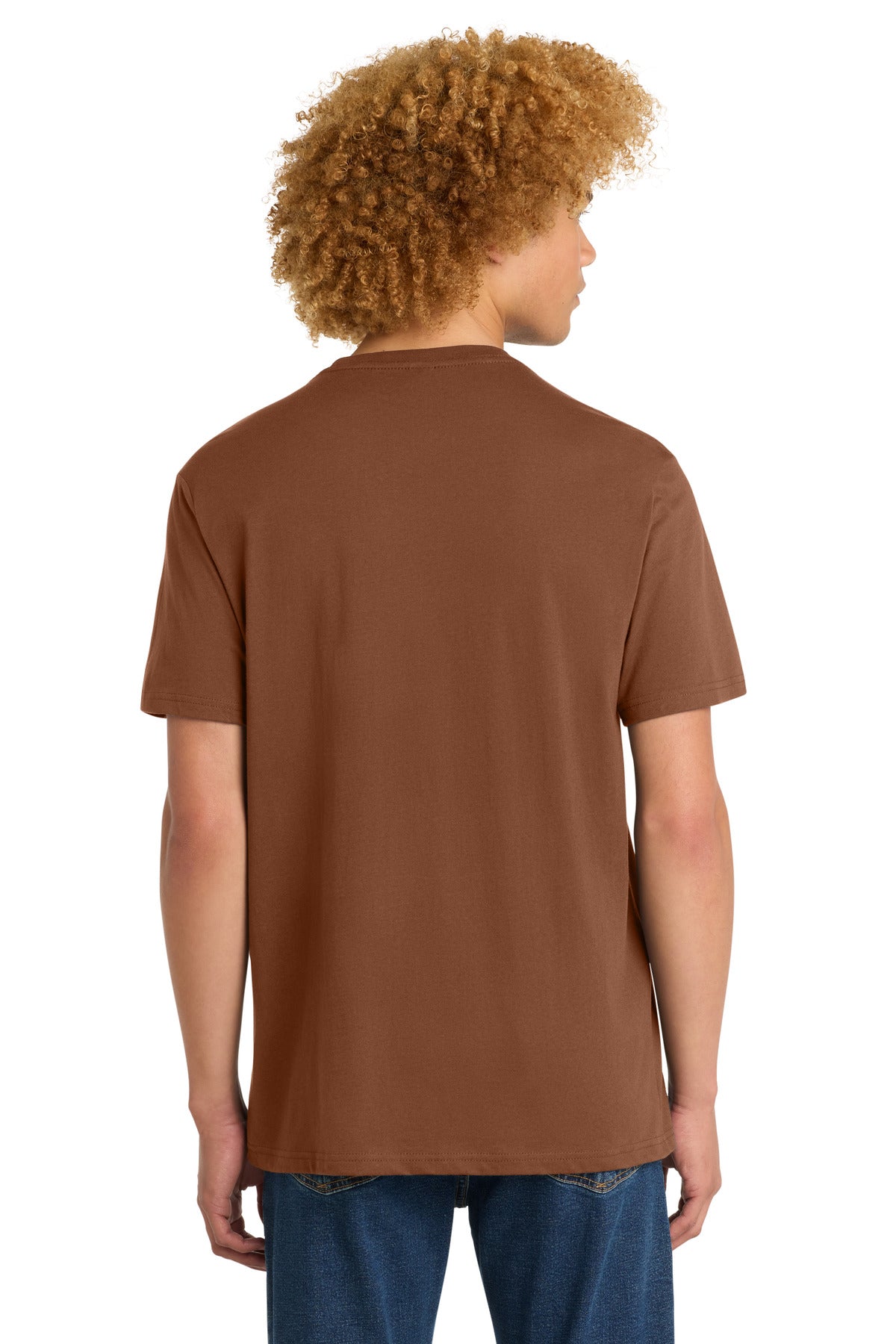 District Perfect Weight Tee. DT104 - Baked Clay - back