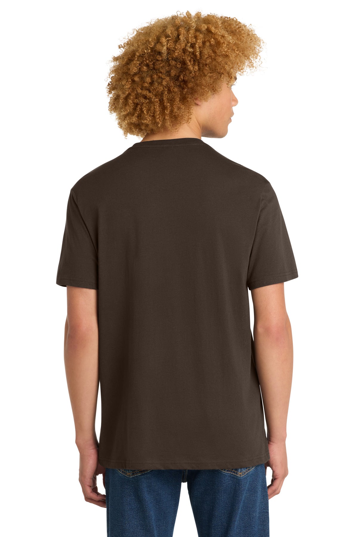 District Perfect Weight Tee. DT104 - Espresso - back