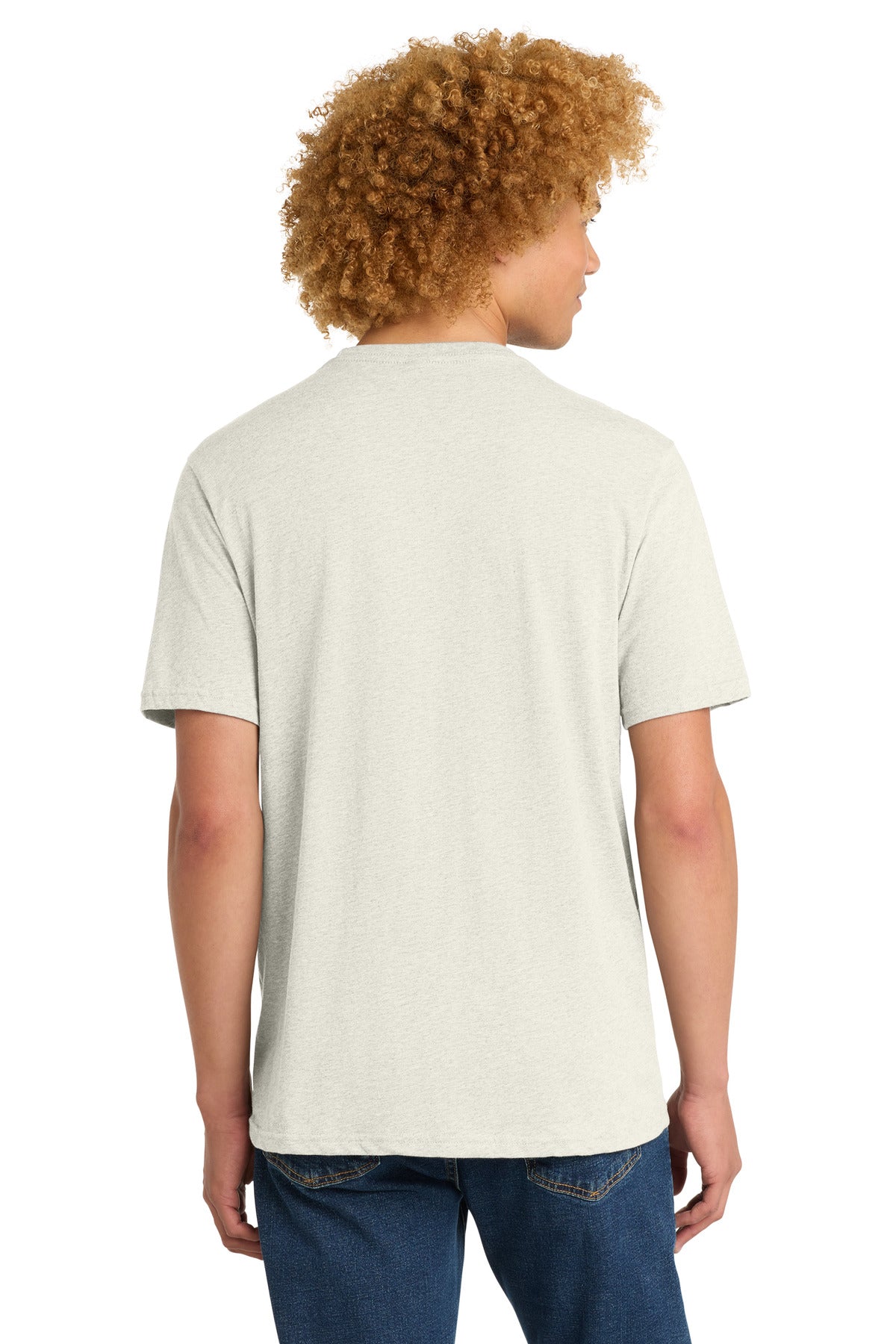 District Perfect Weight Tee. DT104 - Oatmeal Heather - back