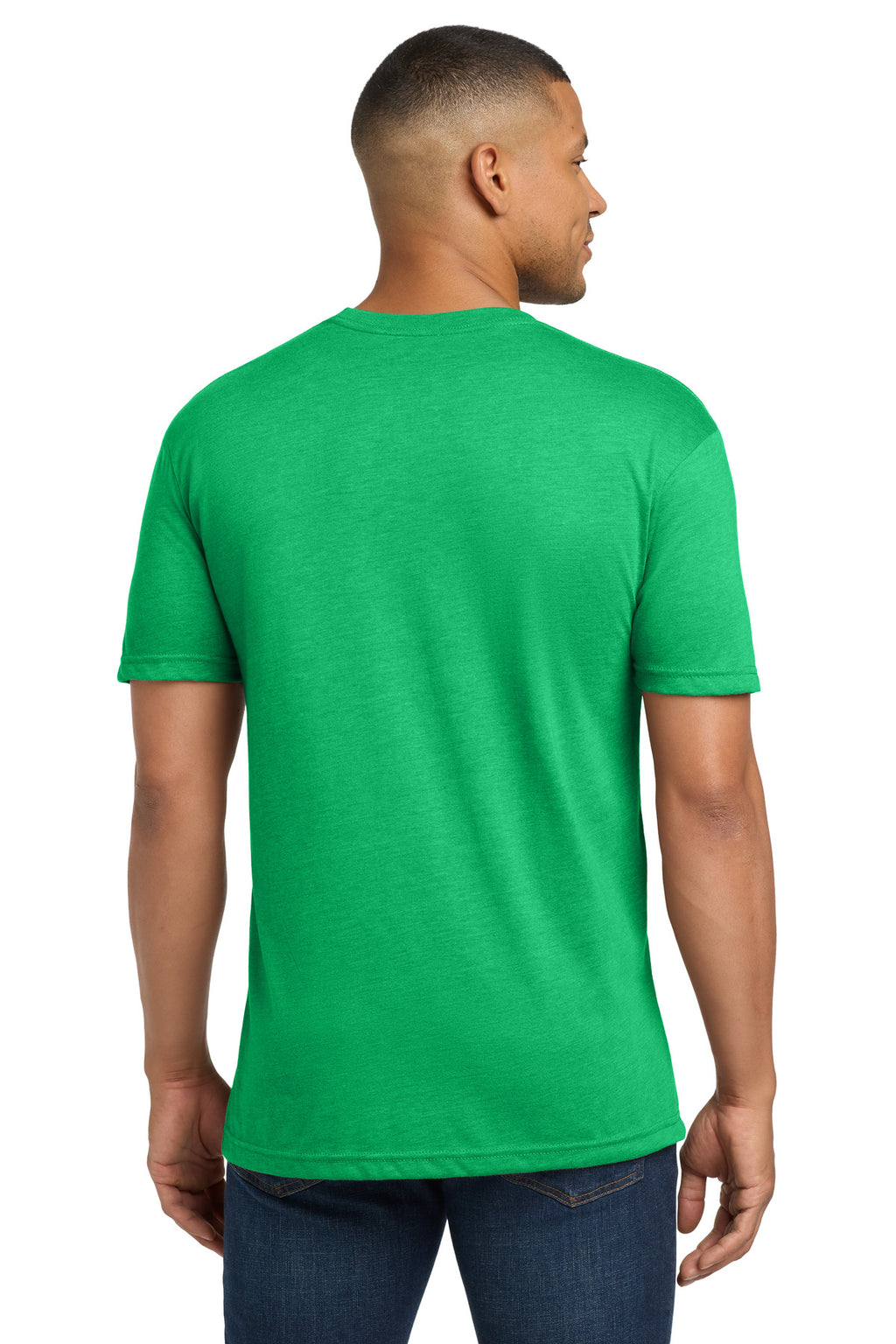 Next Level Apparel Adult Tri-Blend Tee. NL6010 - Envy - back