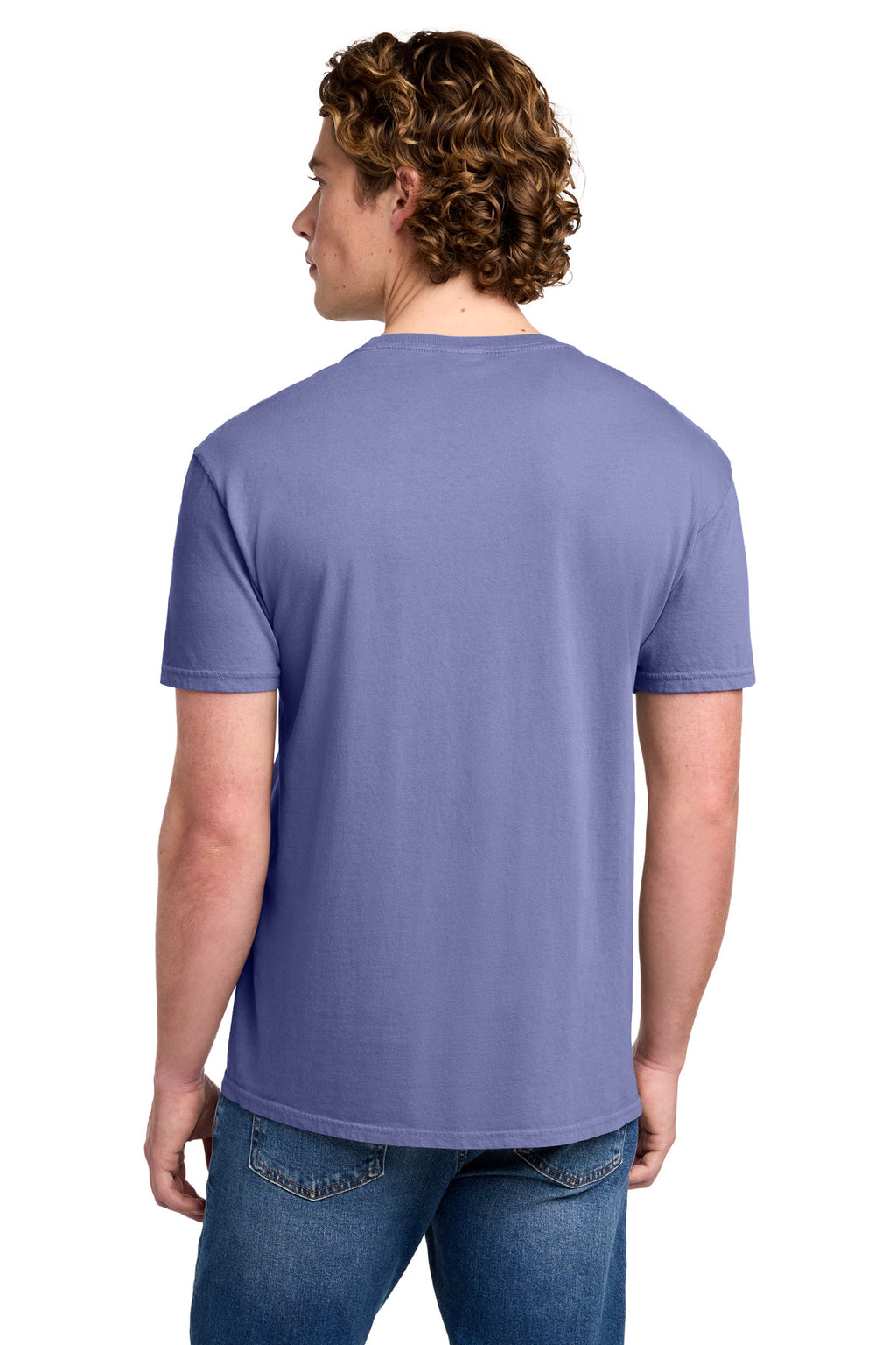 Port & Co Beach Wash Garment-Dyed Tee. PC099 - Amethyst - back