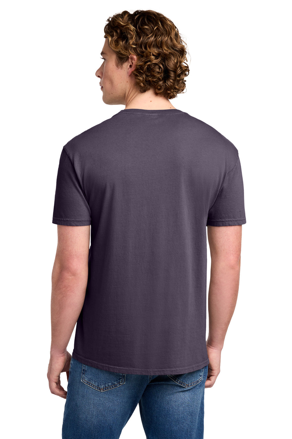 Port & Co Beach Wash Garment-Dyed Tee. PC099 - Vintage Plum - back