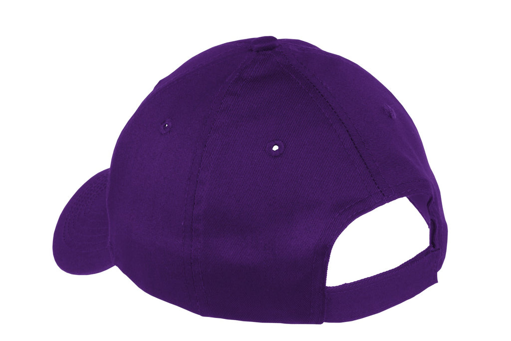 Port Authority Youth Six-Panel Twill Cap. YCP80 - Purple - back